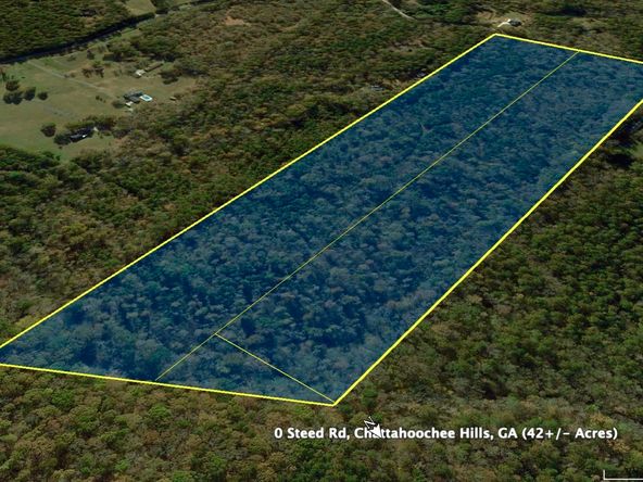 0 Steed Road, Fairburn, GA 30213